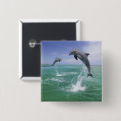 Großer Tümmler Tursiops truncatus Button (Vorne & Hinten)