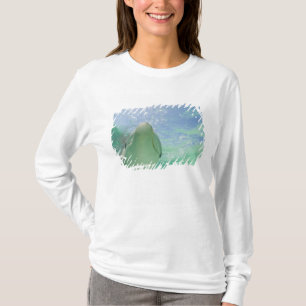 Großer Tümmler Tursiops truncatus) T-Shirt