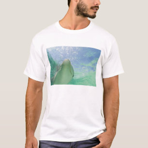 Großer Tümmler Tursiops truncatus) T-Shirt