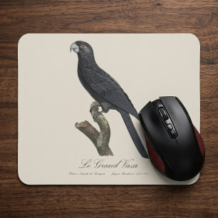 Großer Vasapapagei, Coracopsis vasa Illustration Mousepad