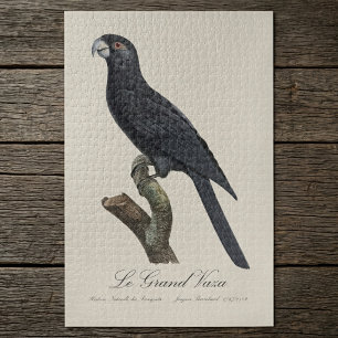 Großer Vasapapagei, Coracopsis vasa Illustration Puzzle