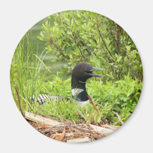 Großer Verschachtelung Loon-Magnet Magnet