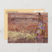 Grosser versteinerter Baum im versteinerten Wald N Postkarte (Vorne/Hinten)