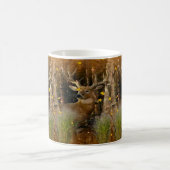 Großer Verwandlungstasse (Mittel)