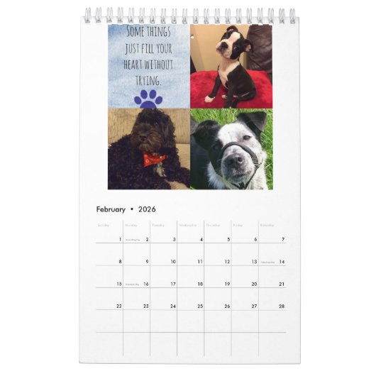 Großer Walkies Kalender 2017 (Feb 2026)