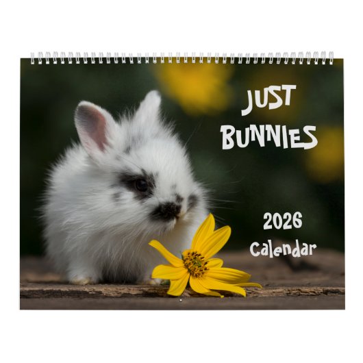 Großer Wandkalender mit Kaninchen (Titelbild)