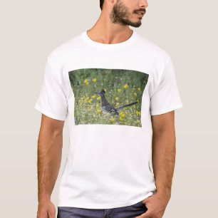 Großer Wegekuckuck, Geococcyx californianus, T-Shirt