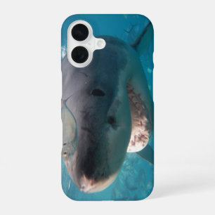 Großer Weißer Hai-Lächeln-Zähne-Porträt Australien iPhone 16 Hülle