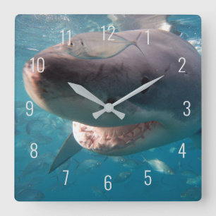 Großer Weißer Hai Nah unter Wasser Australien Quadratische Wanduhr