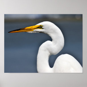 Großer Weißer Held Poster