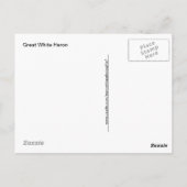 Großer Weißer Heron auf einem Log-Foto Postkarte (Rückseite)