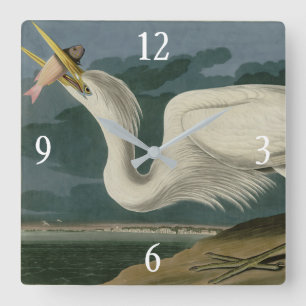 Großer Weißer Heron aus Audubons Vögeln Amerikas Quadratische Wanduhr