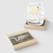 Großer Weißer Heron aus Audubons Vögeln Amerikas Steinuntersetzer (Seitenansicht)