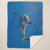 GROSSER WEISSER SHARK SHERPADECKE (Vorderseite)