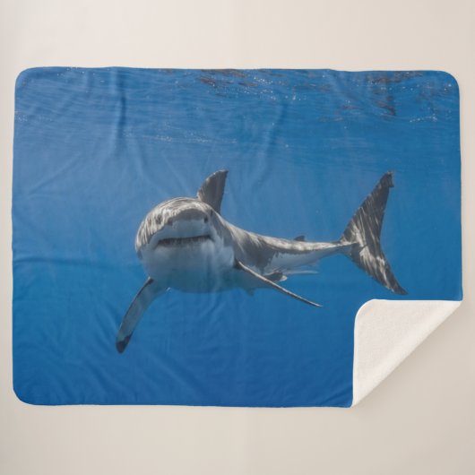 GROSSER WEISSER SHARK SHERPADECKE (Vorderseite (Horizontal))