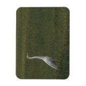 Großer Weißheron Flexible Foto Magnet (Vertikal)