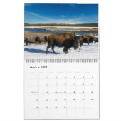 Großer Yellowstone-Park-Kalender Kalender (Mär 2027)