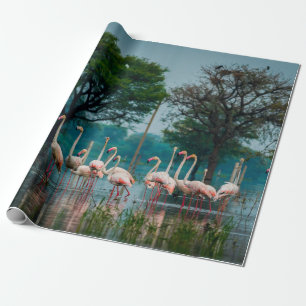 Größere Flamingo Herde in natürlicher Umgebung. Ei Geschenkpapier