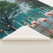 Größere Flamingo Herde in natürlicher Umgebung. Ei Sherpadecke (3/4)