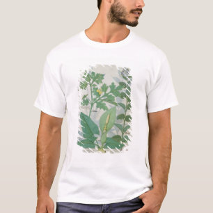 Größerer Celandine oder Mohnblume T-Shirt