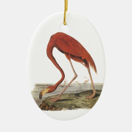 Größerer Flamingo, John Audubon Keramikornament (Vorne)