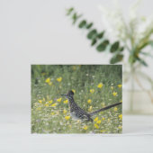 Größerer Roadrunner, Geococcyx californianus, Postkarte (Stehend Vorderseite)