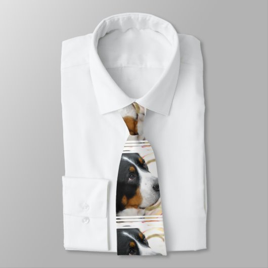 Größerer Schweizer Gebirgshund Krawatte (Gebunden)