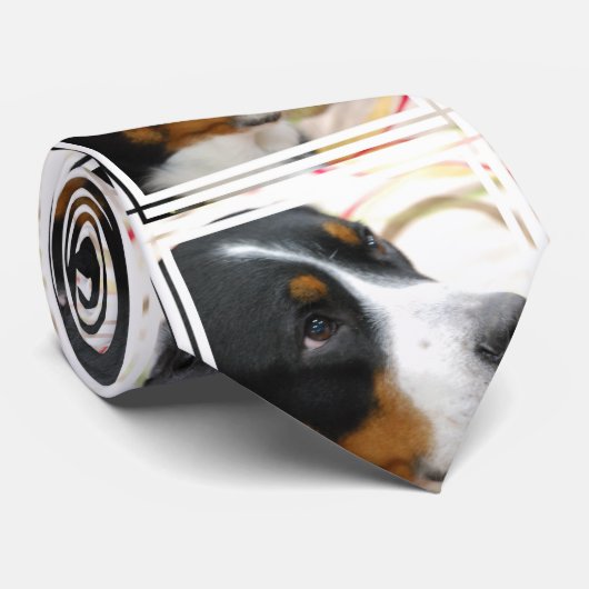 Größerer Schweizer Gebirgshund Krawatte (Gerollt)