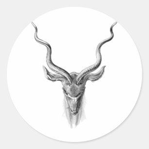 Größeres Kudu Runder Aufkleber