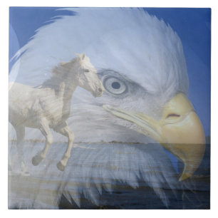 Grosses (6" X 6") Keramik Foto Tile Fliese