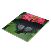 Grosses (6" x 6") Keramik Foto Tile/Schmetterling Fliese (Seite)