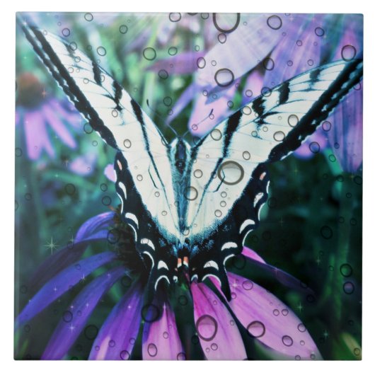 Grosses (6" x 6") Keramik Foto Tile/Schmetterling Fliese (Vorderseite)
