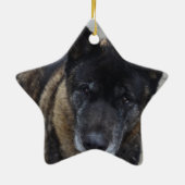 Großes Akita Keramikornament (Hinten)