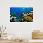 Großes Barrier Reef Poster (Küche)