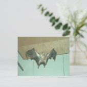 Großes Bat "fliegender Fuchs" Postkarte (Stehend Vorderseite)