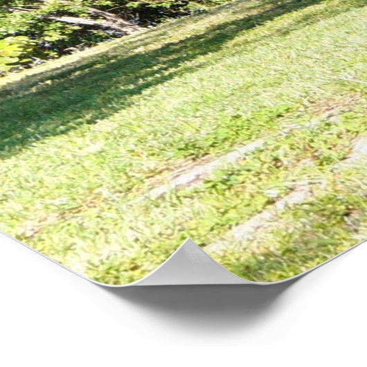 Grosses Baumposter Poster (Ecke)