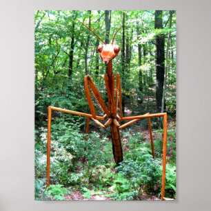 Großes betender Mantis-Plakat Poster