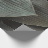 Grosses Blatt Geschenkpapier (Ecke)