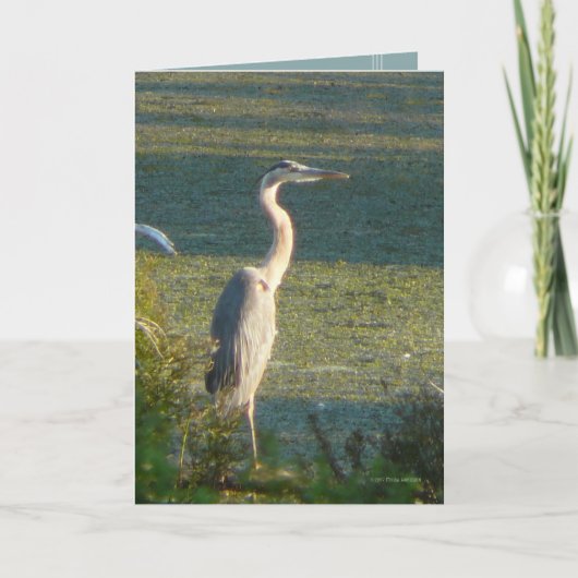 Großes Blau Karte (Vorderseite)