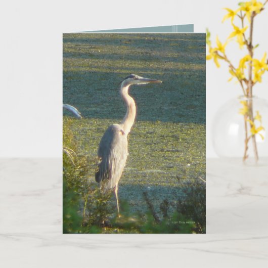 Großes Blau Karte (Gelbe Blume)