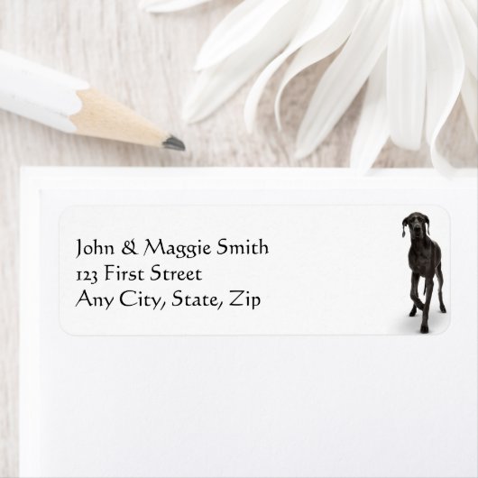 Großes Dan Hund Tier (Insitu)