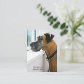 Großes Dane Ausblick aus Fenster Hund Walker "Migh Visitenkarte (Stehend Vorderseite)