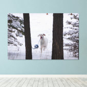 Großes Dane mit einem Ball in dieser Feriensaison Leinwanddruck (Insitu (Holzboden))