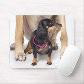 Großes Dane- und Dackel-Portrait Mousepad (Mit Mouse)