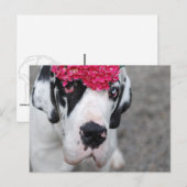 Großes Dasein mit Blume Postkarte (Vorne/Hinten)