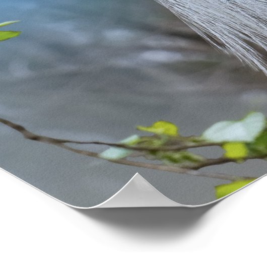 Großes Egret in einem Baum Poster (Ecke)
