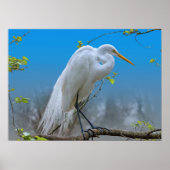 Großes Egret in einem Baum Poster (Vorne)