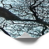 Großes Egret in einem Baum Poster (Ecke)