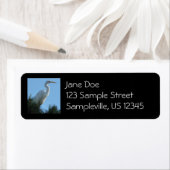 Großes Egret in Sunny Florida (Insitu)