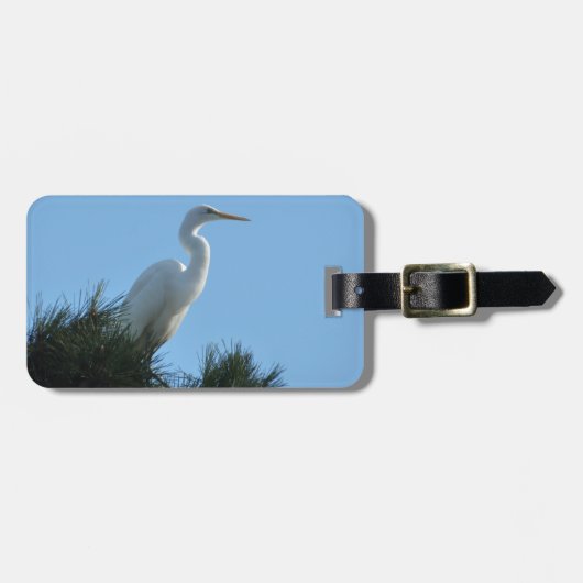 Großes Egret in Sunny Florida Gepäckanhänger (Vorderseite horizontal)